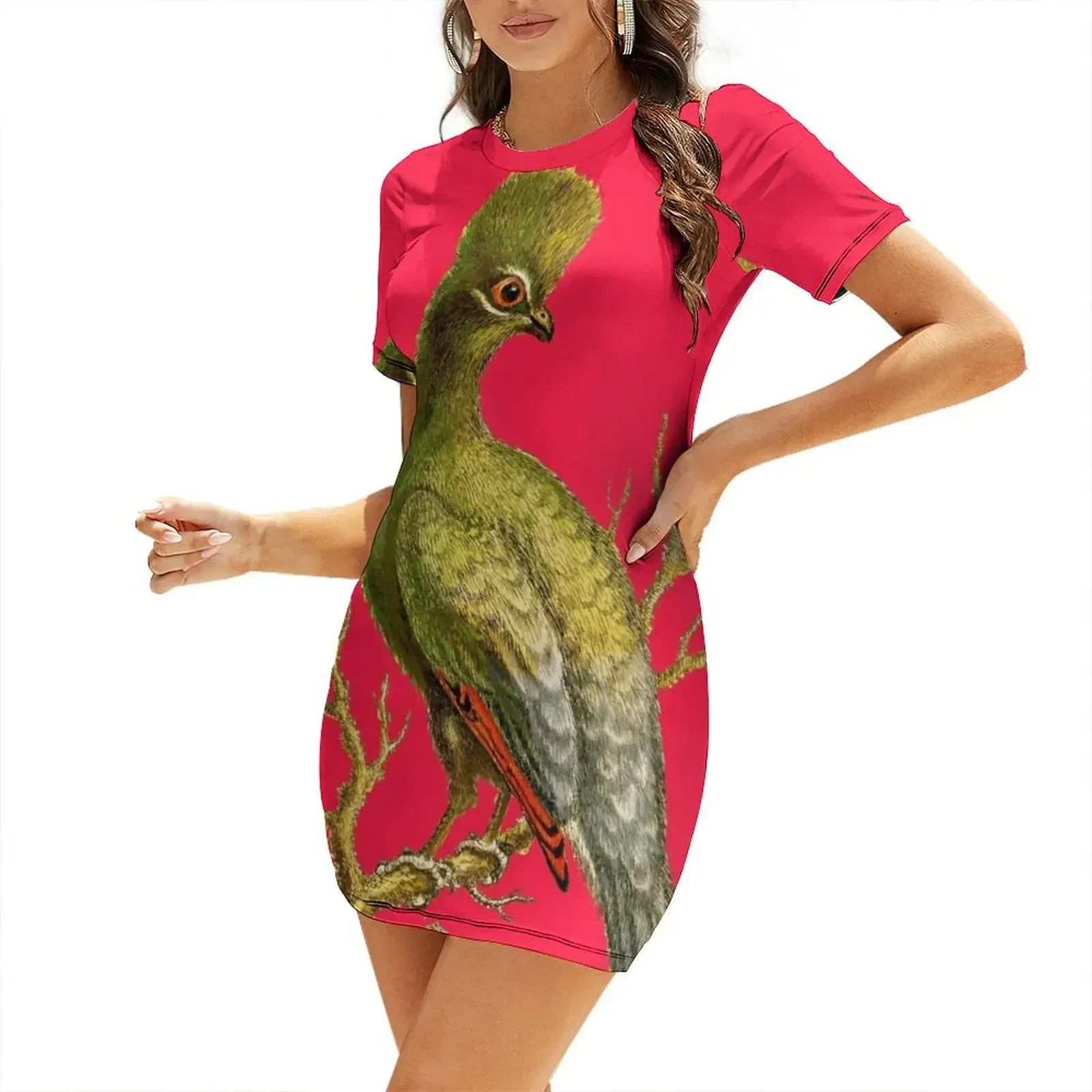 Women'S Fashion Dresses Images - Touraco - Винтажное изображение птицы HD