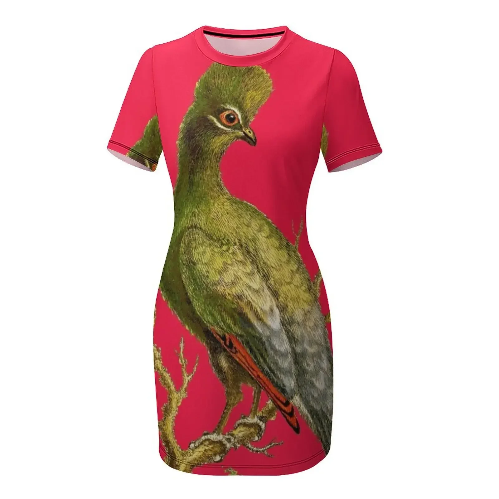Touraco - Винтажное изображени – обзор и цена Women'S Fashion Dresses Images